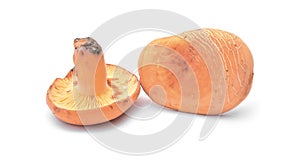 Lactarius volemus