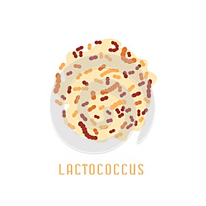 Lactobacillus acidophilus image photo