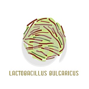 Lactobacillus Bulgaricus Image photo