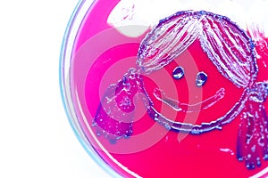 Lactobacillus bulgaricus from laboratory microbiology.