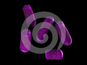 The lactobacillus - close up