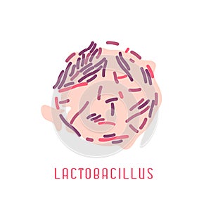 Lactobacillus Colony Image