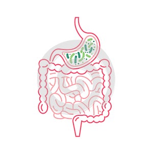 Lactobacillus Probiotics Icon. Normal gram-positive anaerobic microflora sign.