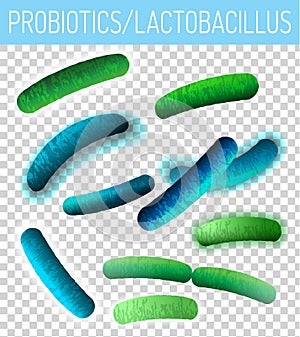 Lactobacillus Probiotics Image