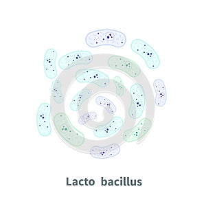 Lactobacillus probiotics on white