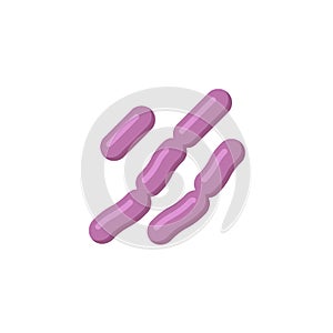 Lactococcus bacteria flat icon