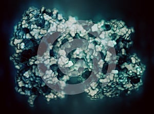 Lactoferrin protein. Lactoferrin is an iron-binding protein that is part of the innate immune system. It is involved in the