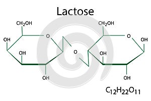 Lactose chemical formula. Science element. Molecular structure. Organic compound. Vector illustration. Stock image.