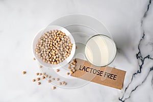 Lactose free milk concept. Homemade milk of nuts or soybeans, non dairy milk from organic substitute, alternative milk type for