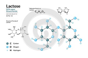 Lactose. Milk Sugar. Disaccharide. Structural Chemical Formula and Molecule 3d Model. C12H22O11. Atoms with Color Coding. Vector