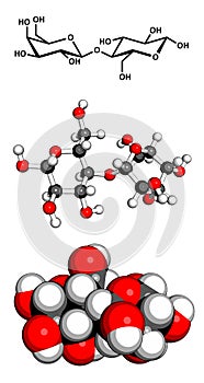 Lactose (milk sugar) molecule