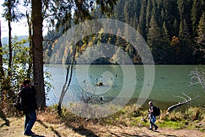 Lacul Rosu, Harghita - Romania, Europe