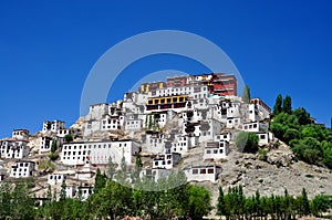 Ladakh (Little Tibet) - Tikse monastery photo