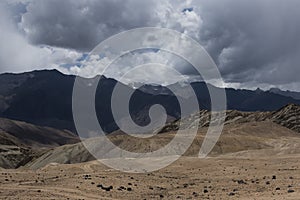 Ladakh mountain landscape