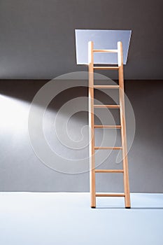 Ladder In Hatch