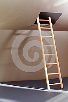 Ladder In Hatch