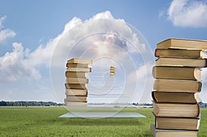 Ladder knowledge success.