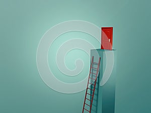 Ladder leading to a closed red door