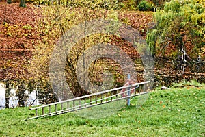 Ladder and lifebuoy at the edge of a lake in a park