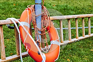 Ladder and lifebuoy at the edge of a lake in a park