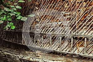 A ladder on the stable wall