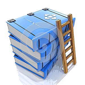 A ladder on stack of books. 3d
