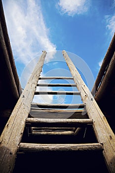 Ladder - the symbol of the career steps