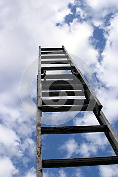 Ladder to success