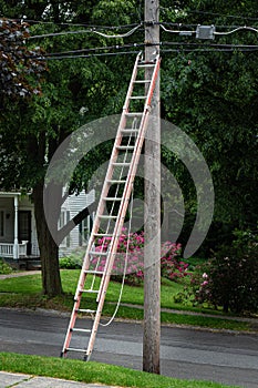 Ladder Up Against Utility Pole