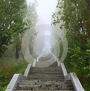 Ladder upwards in park