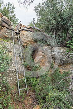 Ladder on the Zebra Hiking Trail at Eingedi photo