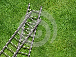 ladders on grass