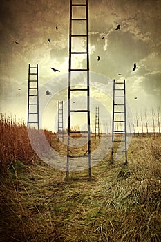 Ladders reaching to the sky in a field