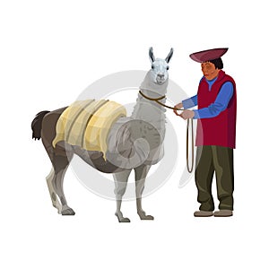 Laden lama with a farmer