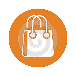 Ladies bag vector icon, purse, shopping packet