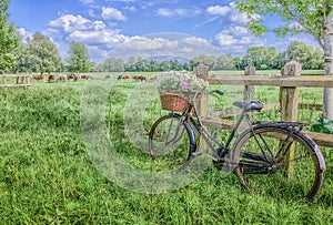 Ladies bicycle with basket and flowers photo
