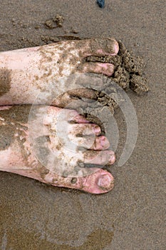 Ladies feet on the beach