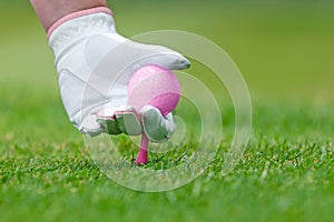 Ladies golf hand placing pink tee and ball into ground. photo