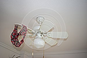 Ladies Knickers On The Ceiling Fan photo