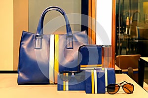 Ladies leather handbag, purse and accessories