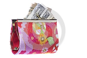 Ladies Purse with Money Isolated