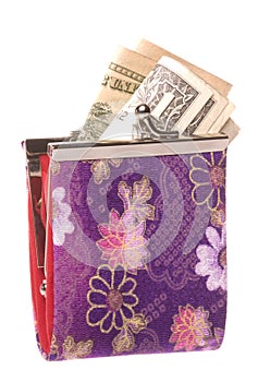 Ladies Purse with Money Isolated