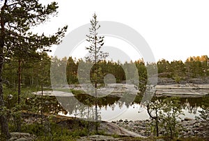 The Ladoga skerries national Park in Karelia.