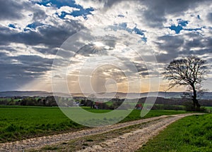 The ladscape in Germany in the sunlight