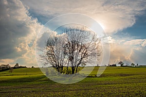 The ladscape in Germany in the sunlight