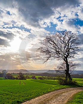 The ladscape in Germany in the sunlight