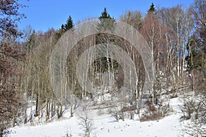 Ladscape of Jeseniky in winter