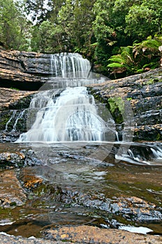 Lady Barron Falls, Mt Field National Park