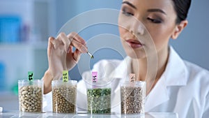 Lady biochemist analyzing pea grain organic food inspection nutrition properties