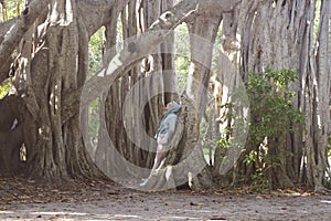 Lady in blue jacket and pink pants laying on the tree